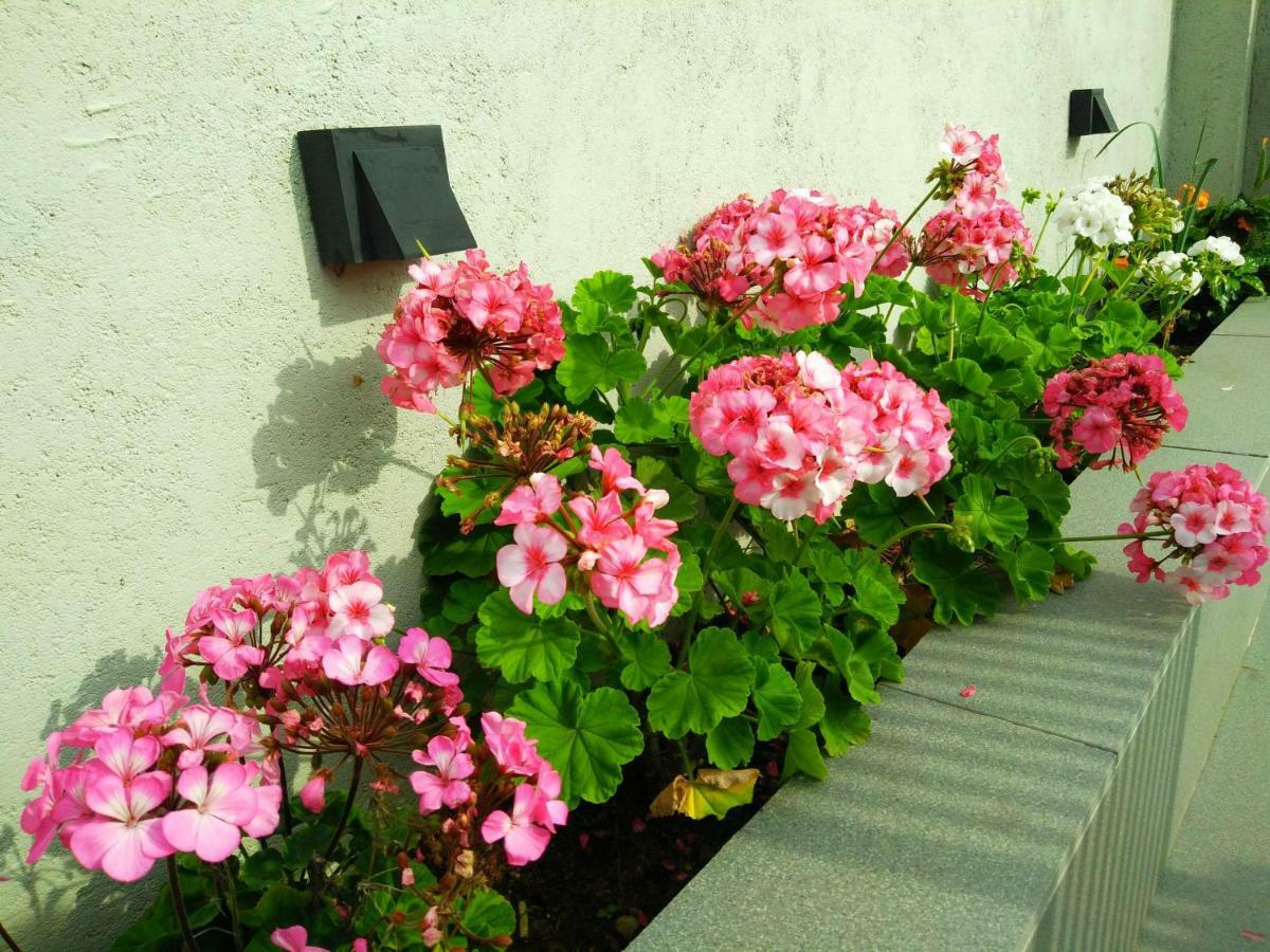 Idyllic Vista Apartment Huduhumpola ภายนอก รูปภาพ